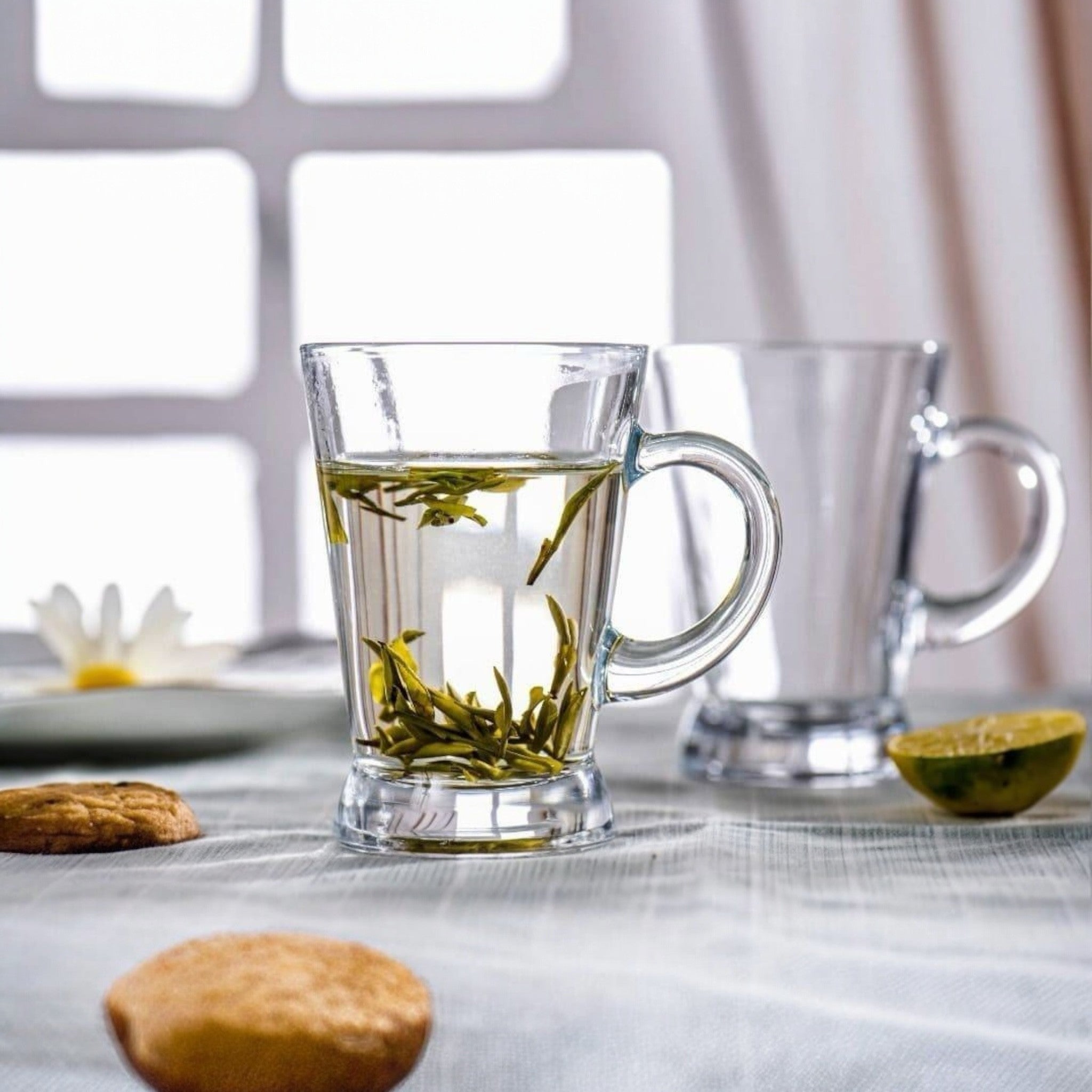 Tea Cup — 5.5 oz — Set of 6