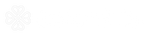 CustomCo logo in white